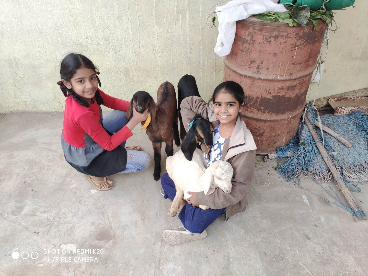 Mannat and Eknoor Mehmi as young girls, standing with their first herd of goats, marking the beginning of their successful goat farming venture.