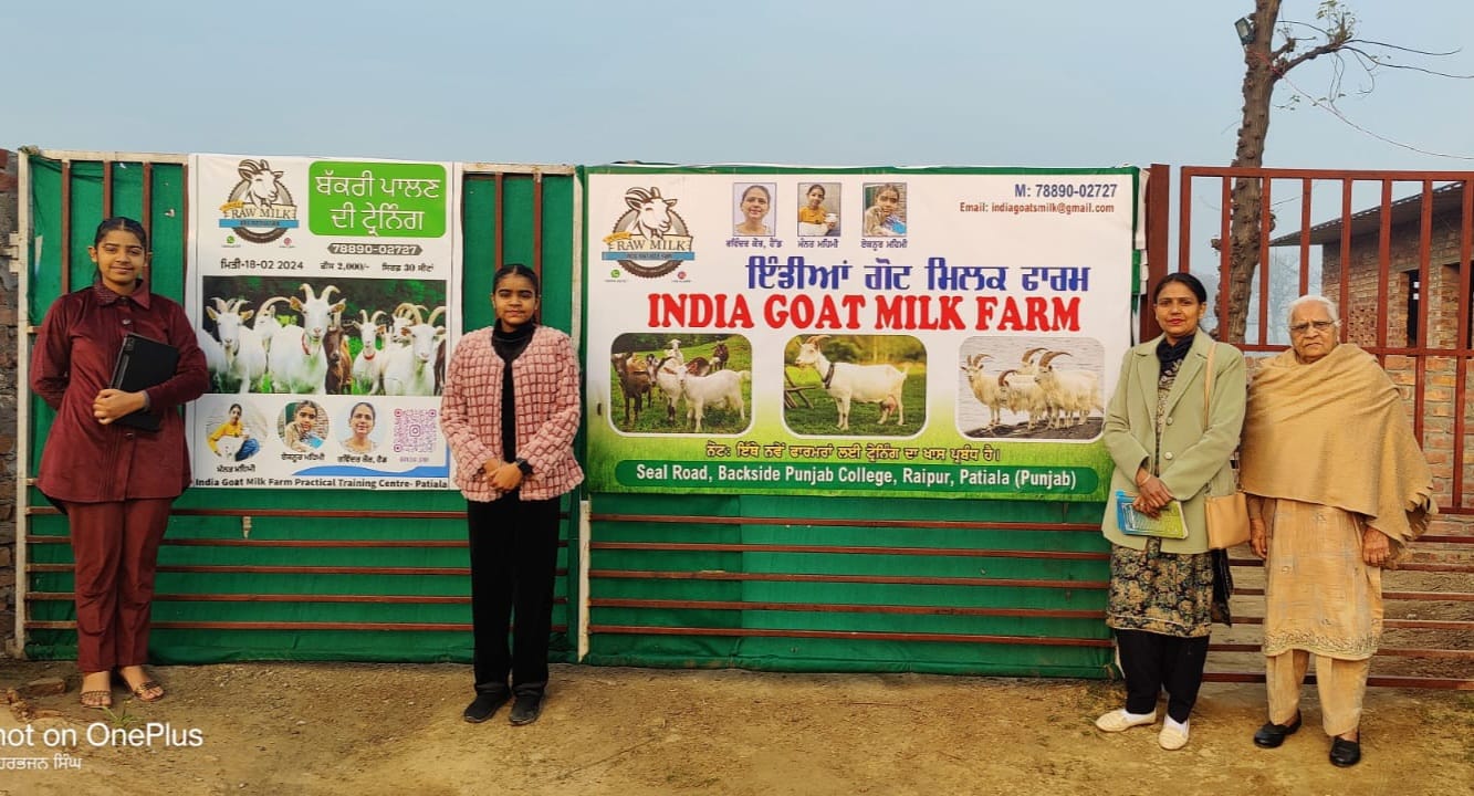 Mannat Mehmi, Eknoor Mehmi, their mother Ravindar Kaur, and grandmother standing together outside their goat farm, smiling proudly as they celebrate their family-owned business and its success.