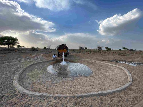 Wildlife watering hole inspired by Tal Chhapar Sanctuary, Nagaur; Image: Sharvan Patel