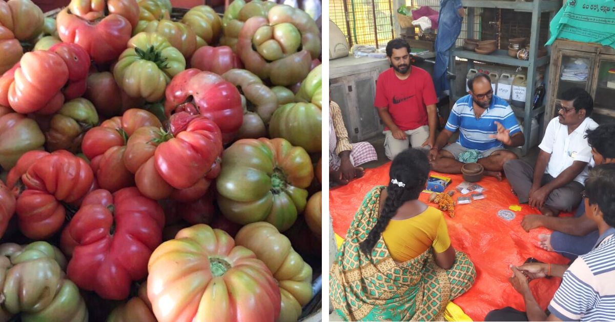 Darlapudi Ravi is preserving indigenous seeds that when planted will give rise to fruits and vegetables loaded with health benefits 