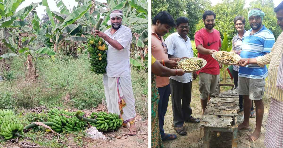 Darlapudi trains farmers in his village in Andhra Pradesh in techniques of seed preservation