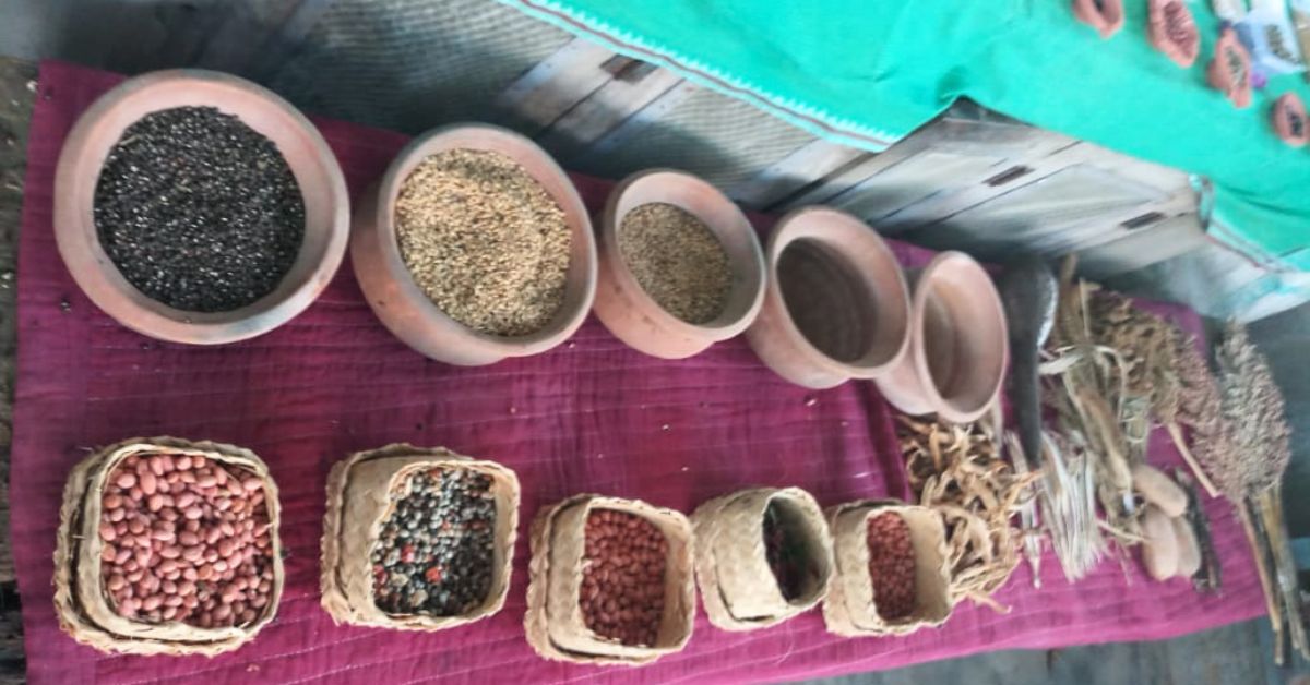 Darlapudi has preserved over 3600 varieties of indigenous seeds from tribal belts across India 