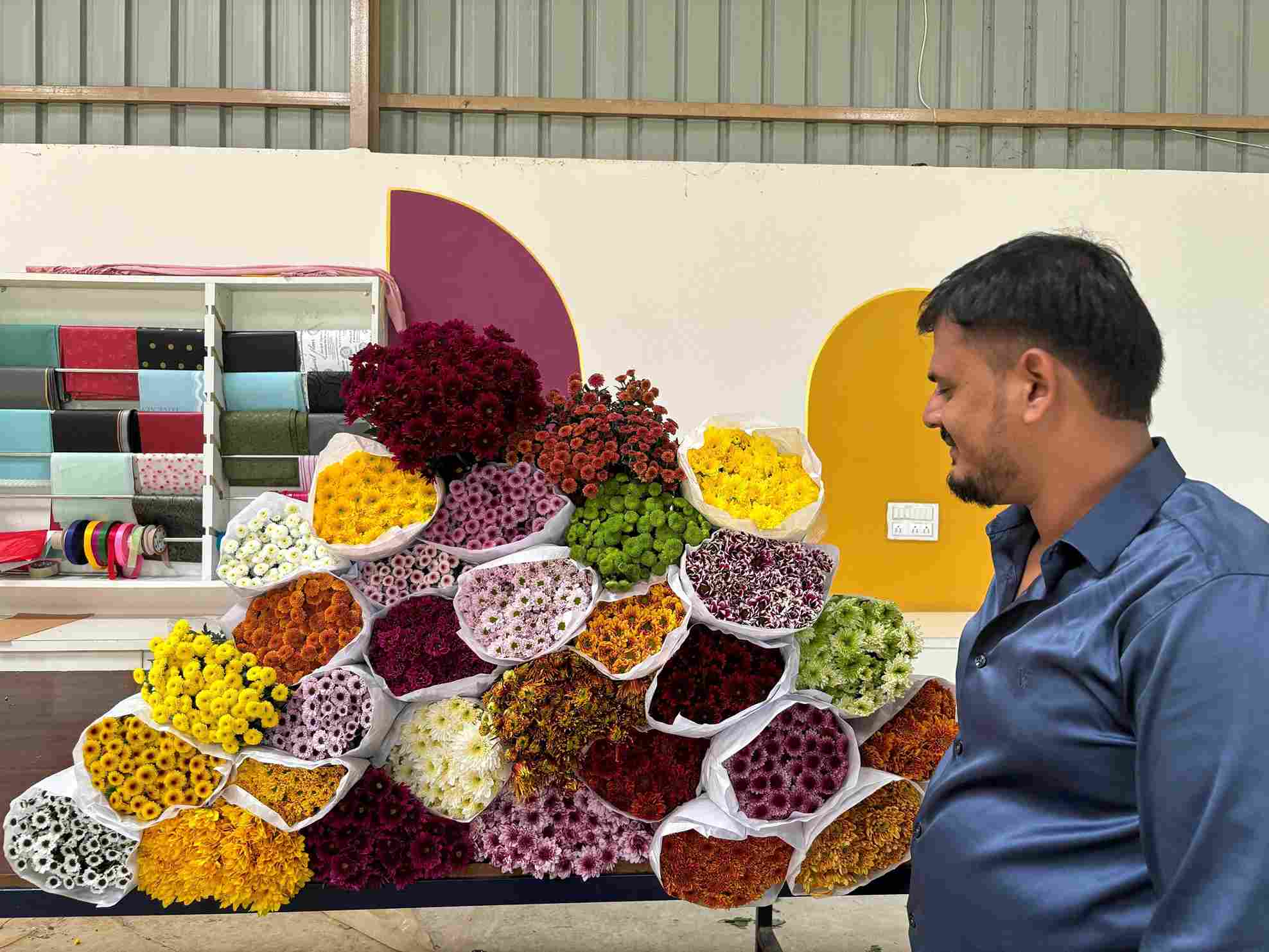 Lohith dedicated around 4,000 square meters of his farm to chrysanthemums