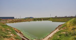 A Blueprint of Water Efficiency, Here’s How This Industry Has Achieved 75% Water Neutrality