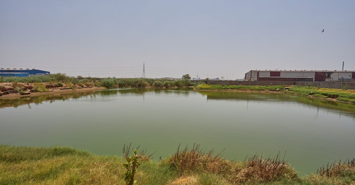 Merino Industries restores degraded water sources by constructing recharge structures in existing ponds