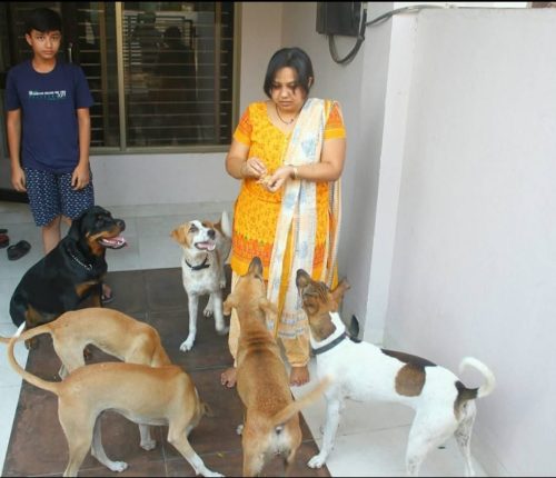 Rimjhim lovingly feeds a group of stray dogs at her home, reflecting her dedication to their care and well-being.