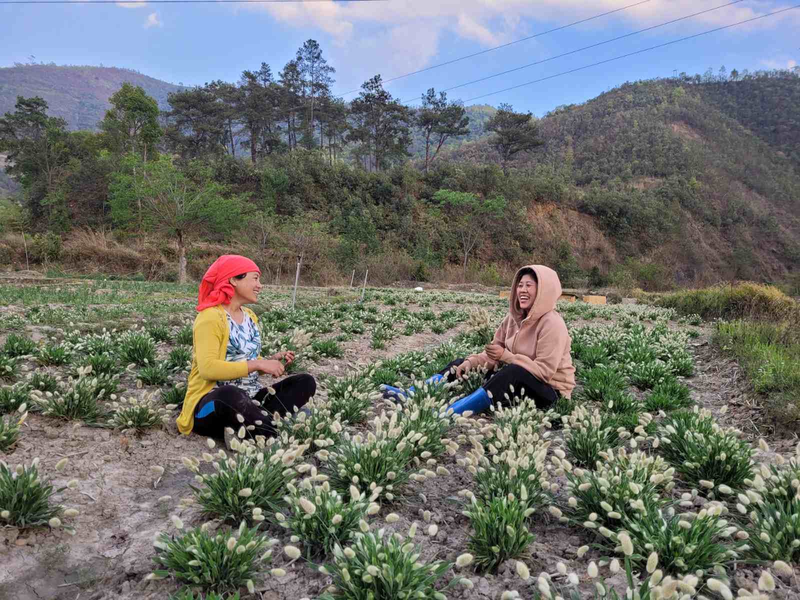 In a field of flowers, Chokhone and her farming partner sit together, embracing the tranquility of their surroundings.