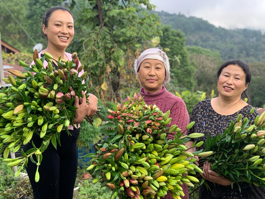 In a joyful display, three women, including Chokhone, hold colourful flowers, representing their successful harvest.