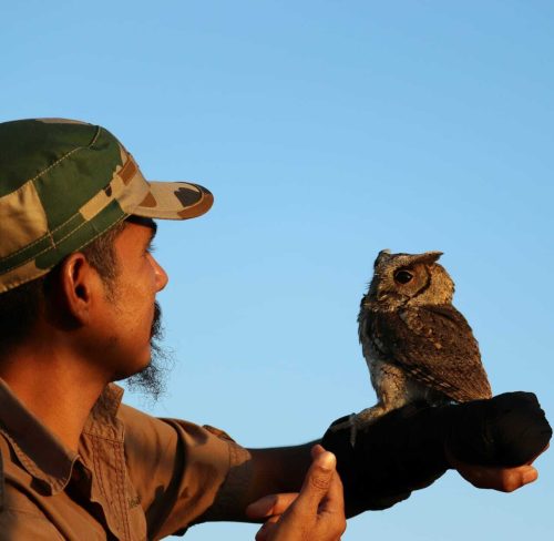 Manoj Gogoi gently holds an owl on his hand, showcasing a moment of connection between human and bird.
