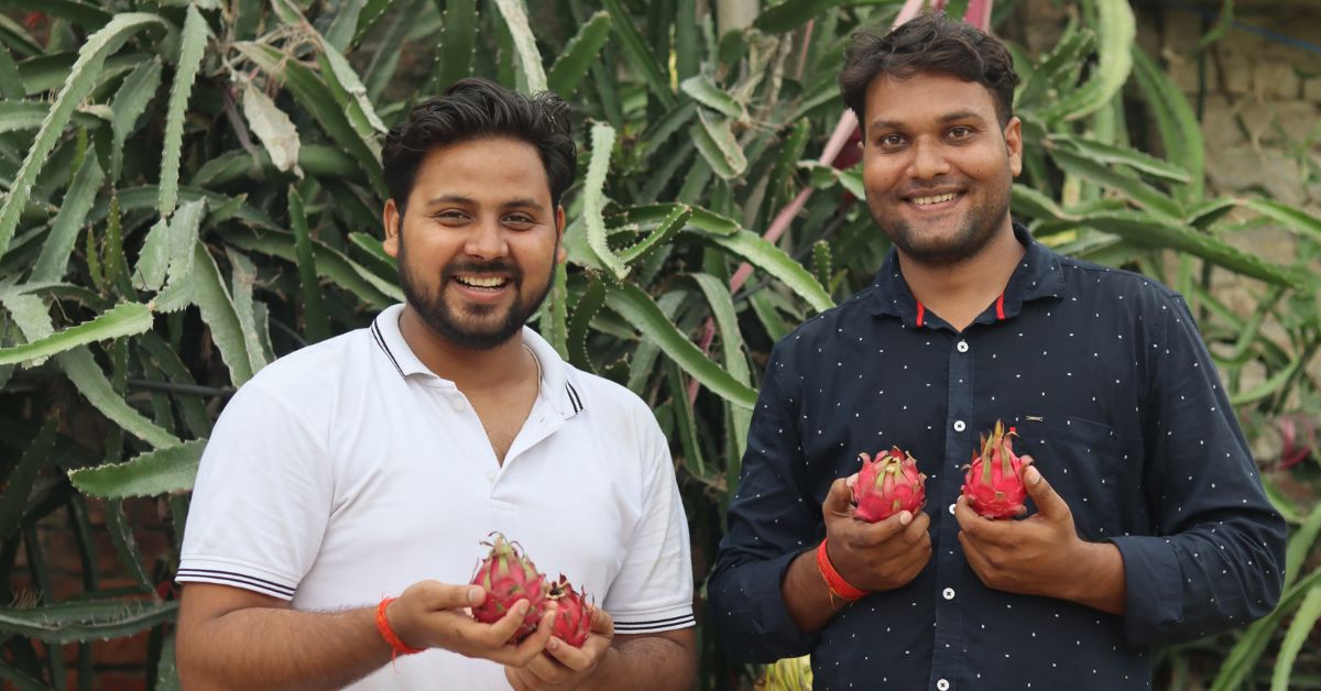 Anshul has built a loyal customer base for this exotic fruit in Shahjahanpur, Bareilly, Farrukhabad, and Hardoi districts. 