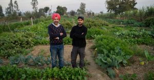 Punjab Techie Quits High-Paying Google Job To Help Urban Families Grow Their Own Food