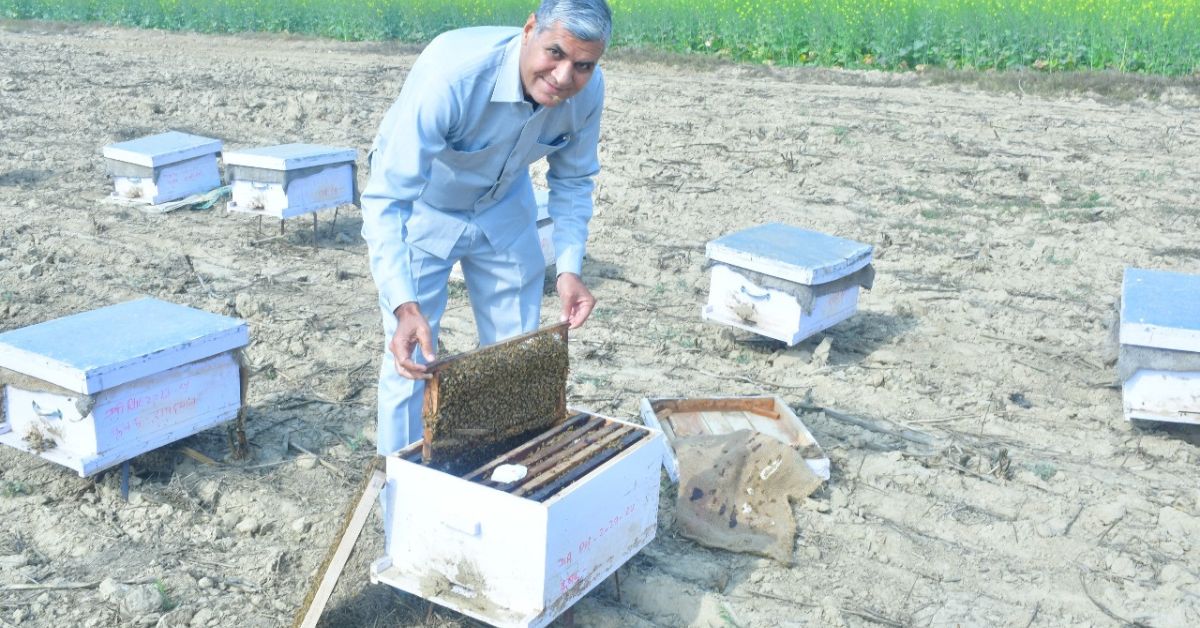 Jaspal inspecting a bee frame near an open beehive box, surrounded by multiple beehive boxes