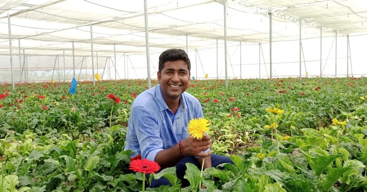 Abhinav started gerbera cultivation after leaving his job at Microsoft