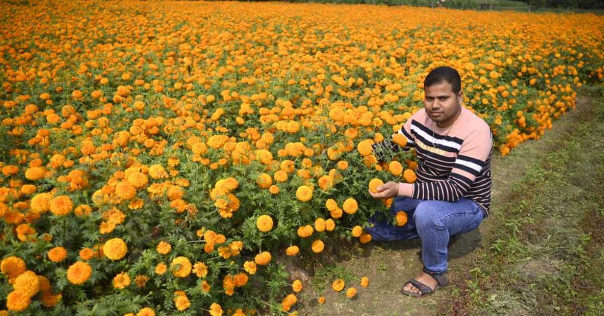 College Dropout-Turned-Flower Vendor Earns Rs 50 Lakh/Month With Marigold Farming