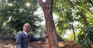 83-YO Has Been Sweeping His Bengaluru Neighbourhood Clean for 24 Yrs!