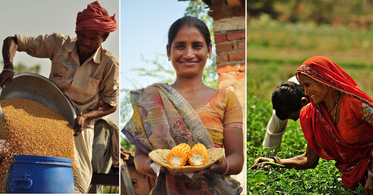 It ensures fair trade and delivers pure, high-quality products to consumers