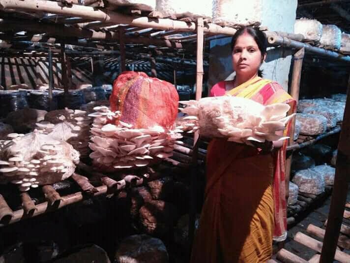 Pratibha grows oyster mushrooms, milky mushrooms, and button mushrooms