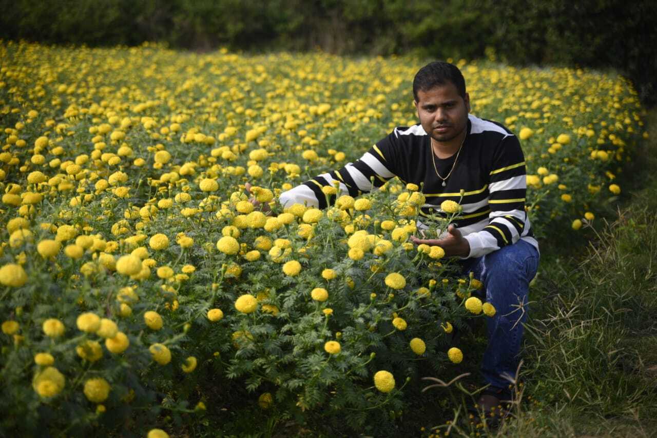 Arup Kumar Ghosh started marigold farming in 2011