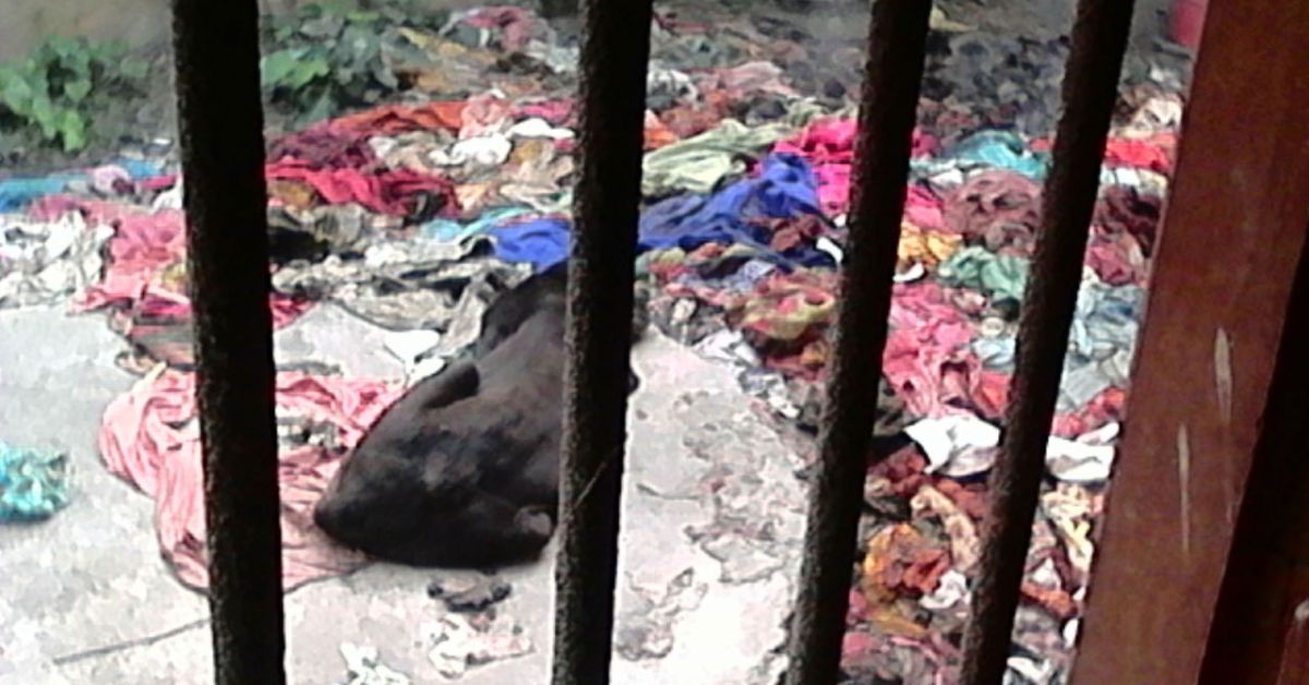 Biomedical waste was dumped In the open outside the hospital windows at the Motihari District Hospital