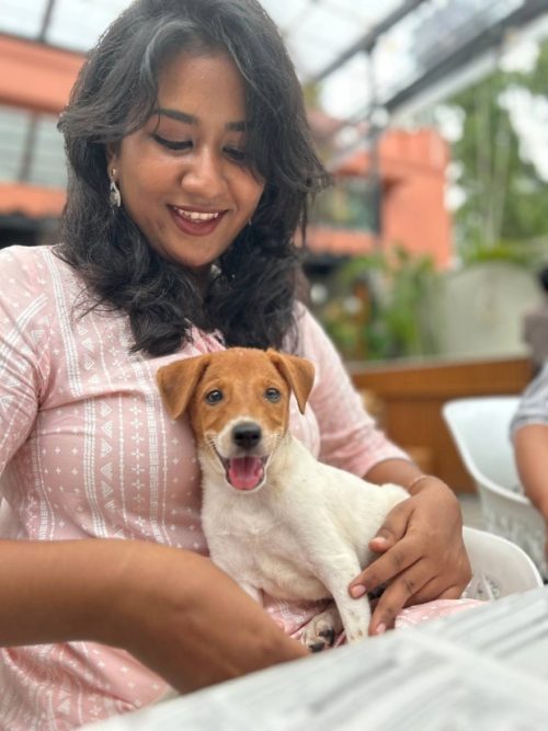 A dog sitting on a woman's lap