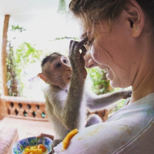 volunteer feeding a monkey