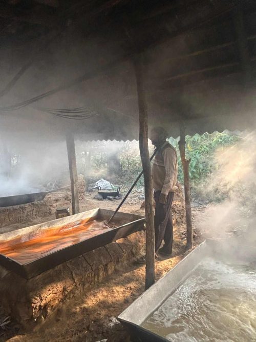 The sap undergoes a slow cooking process over a woodfire where it thickens into liquid or solid jaggery