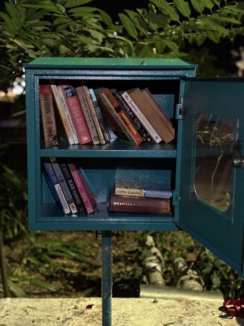 The mini-libraries are installed in parks and gardens to promote the culture of reading in Ahmedabad