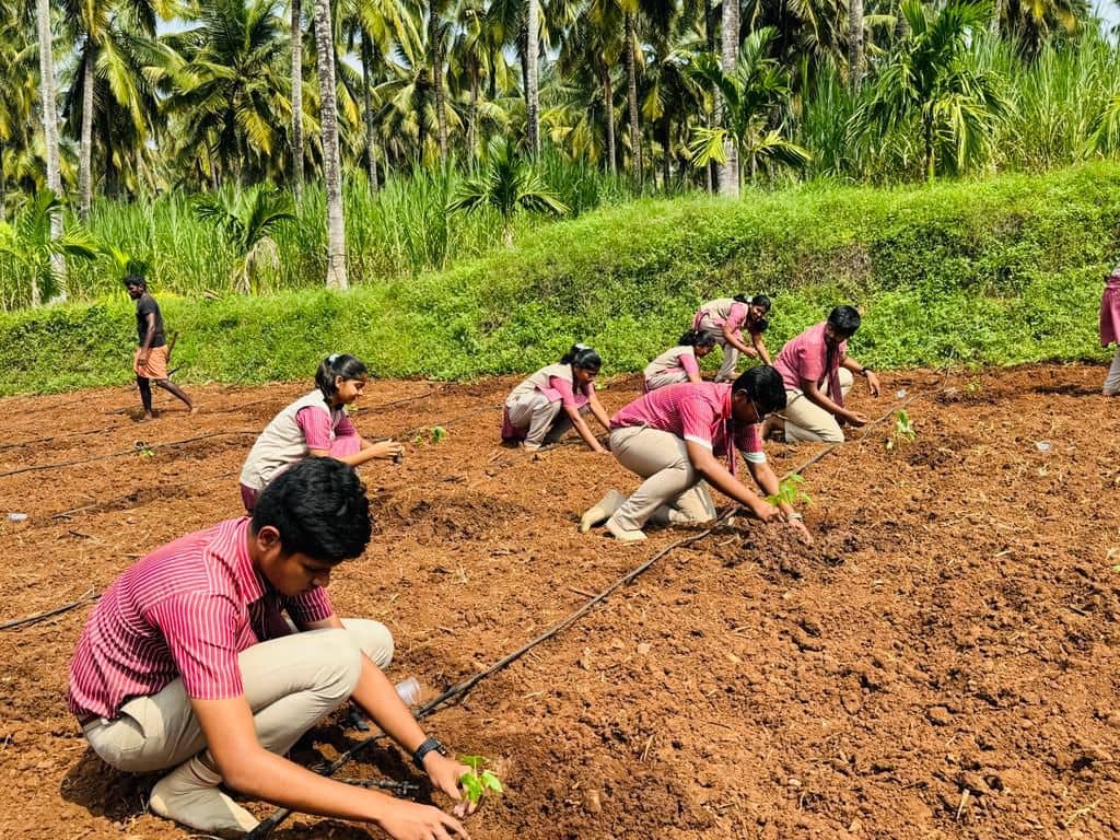 Aspiring farmers can use traditional farming methods to build a sustainable farm