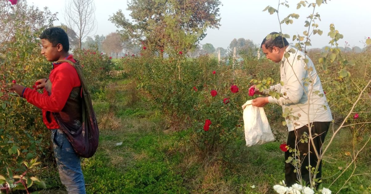 Rajesh says his children help him pluck flowers from the farm before leaving for school.