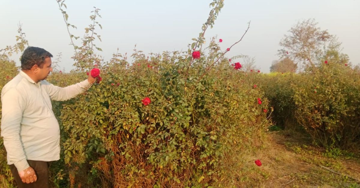 With rose farming, Rajesh not only set up a thriving rose farm but also rebuilt his life.