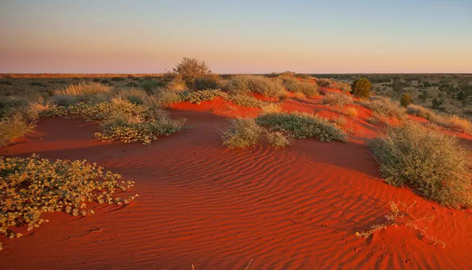 Theri Kaadu is a newly formed desert through its sand movements.