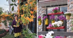 Watch: Dehradun Woman Builds Stunning Garden At Home, Without Training!