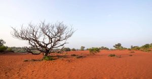 Not Rajasthan! This Surreal Desert in Tamil Nadu Will Leave You Stunned