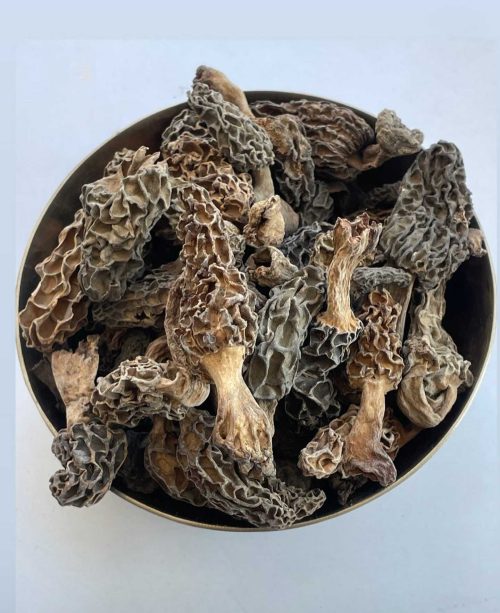 Gucchi mushrooms 