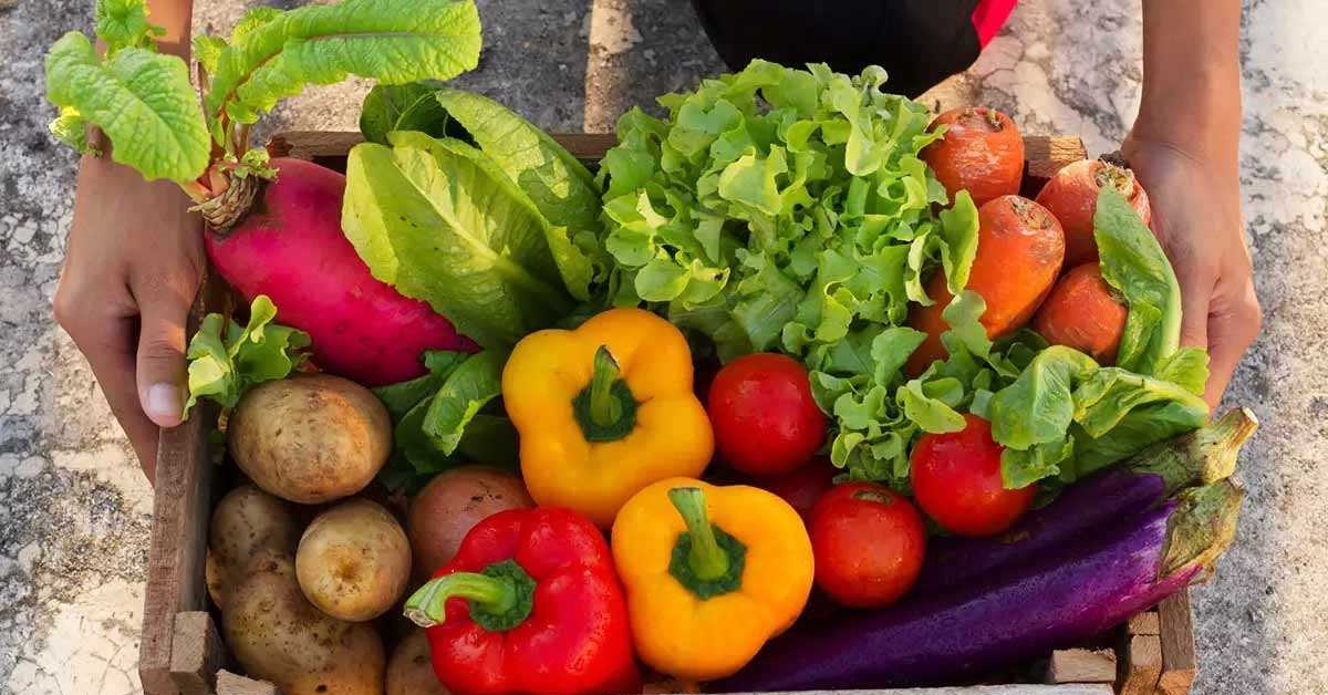 List of vegetables visual data 3