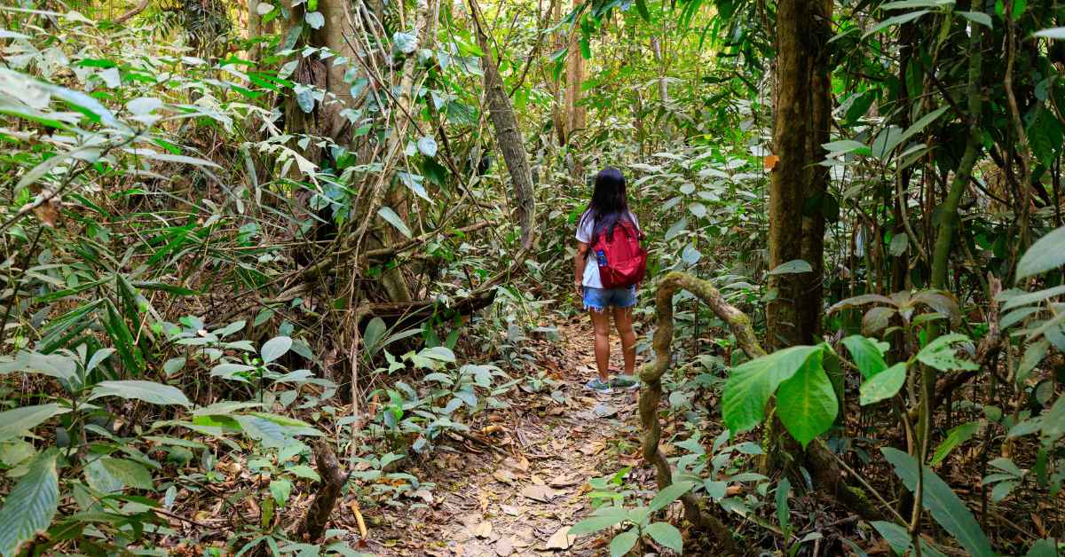 Trekking With Kids? Here Are the Best Beginner-Friendly Trails in India