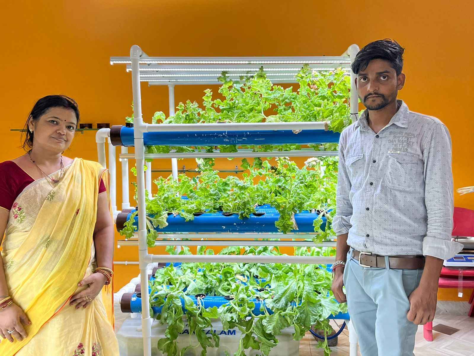 Sujata started hydroponics farming in a 100 sq ft room in her home