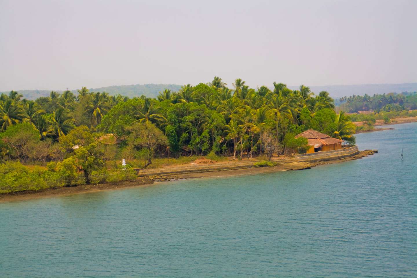 Paddle through serene mangrove forests in Chapora River with your kids