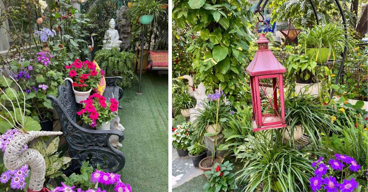 Veena Rathi's home garden in Southwest Delhi is buzzing with plants of every colour