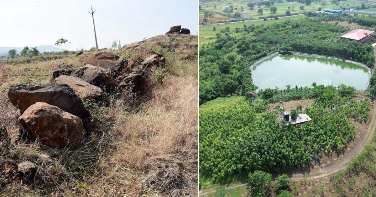 Dr Garg cultivated a forest on the barren land located on the Malwa Plateau.