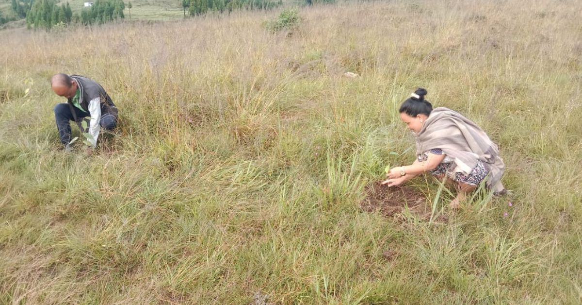 Under Lakmen Mary's leadership, the villagers planted 16,000 saplings as part of water conservation efforts.