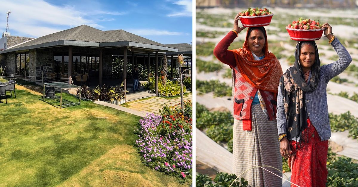 Sangam Farms is a beautiful oasis where you can watch vegetables being harvested and prepared into delicious snacks