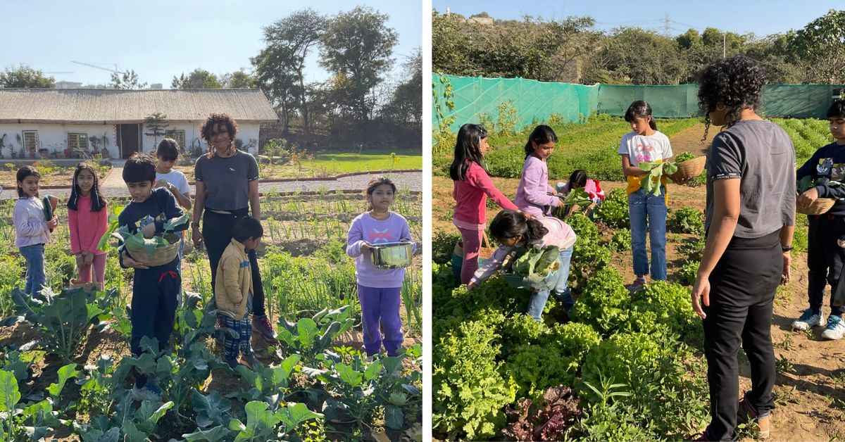 The students are taught organic farming techniques are how to harvest their own vegetables 