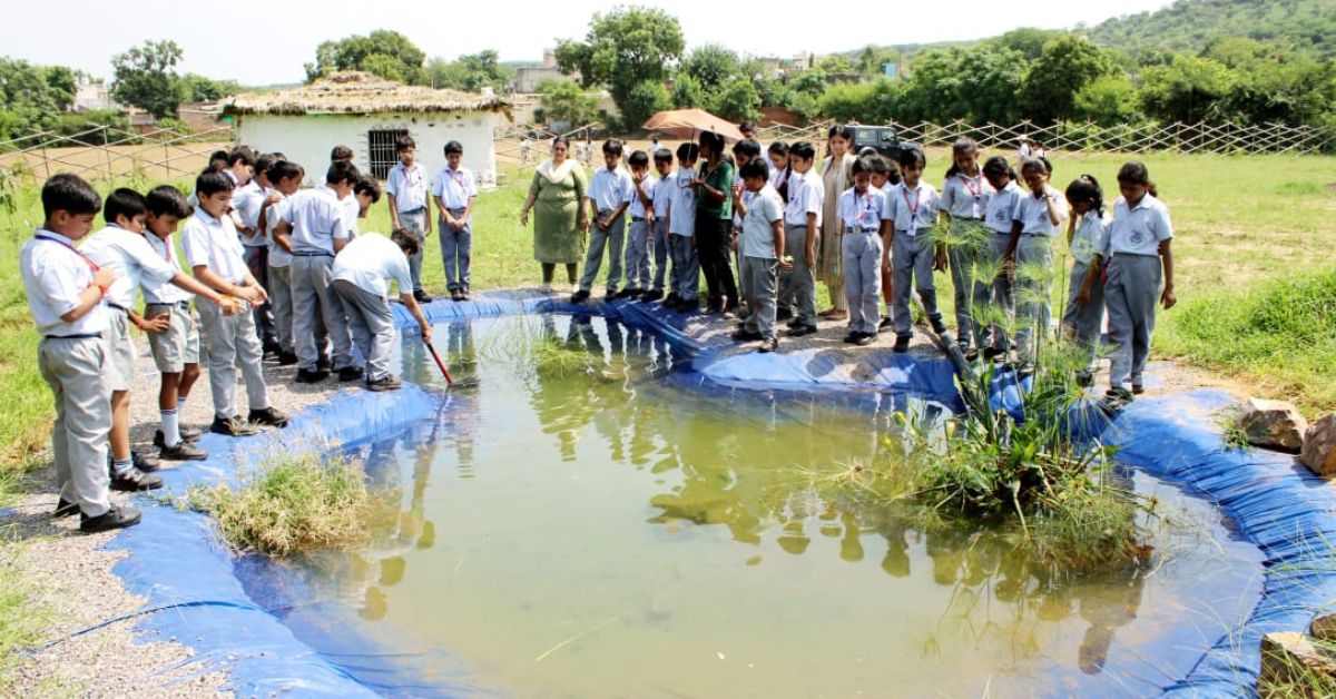 The pond that Jyoti has created at Forest Spirit Learning is an example of a perfect ecosystem that allows many kinds of species to thrive 
