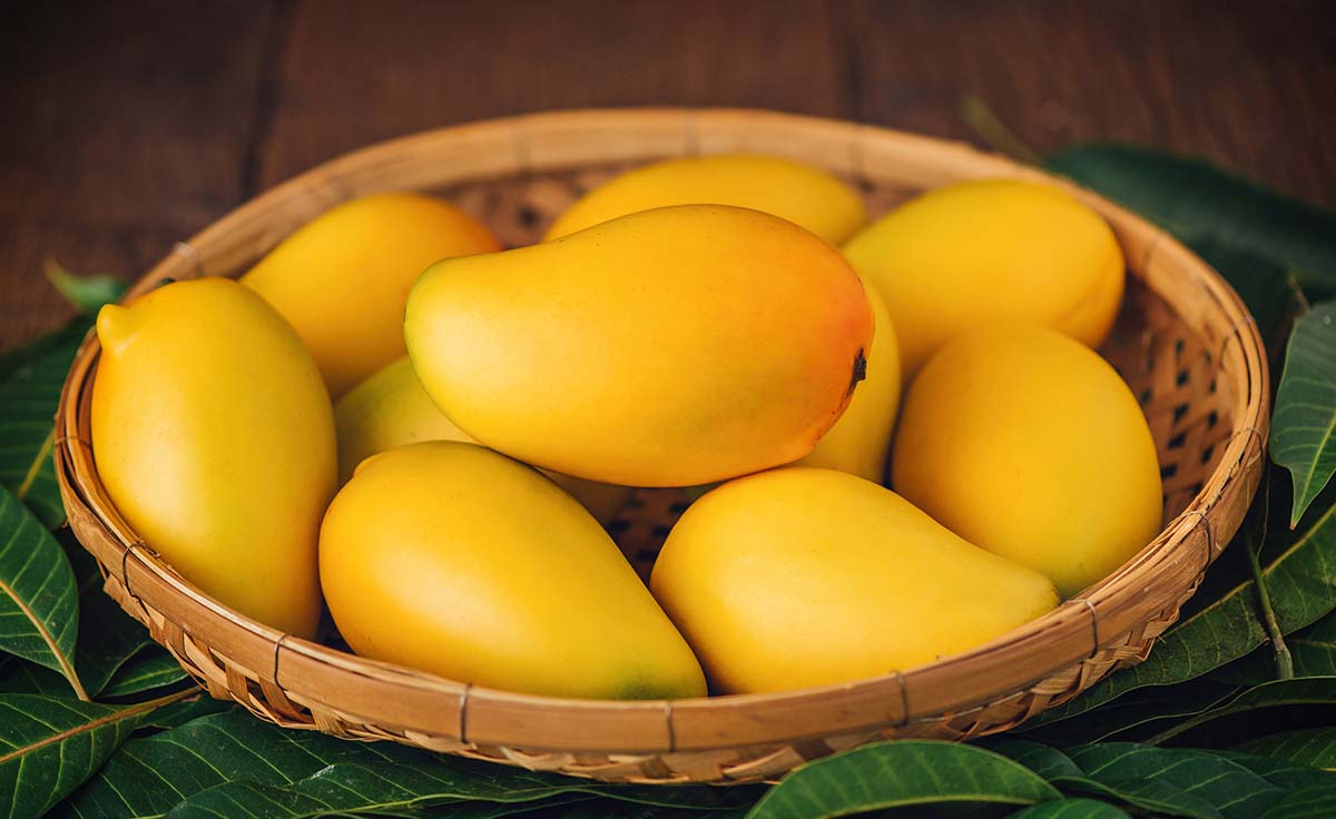 The Alphonso mango boasts a unique saffron-like hue and a delicate aroma