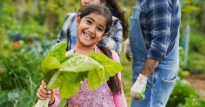 Kerala Gardener Shares Simple Steps To Grow Cucumbers at Home With Kids (Even in Small Spaces!)