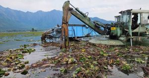 UP Man Helps Restore Dal Lake's Beauty by Creating Organic Fertiliser Using Weeds