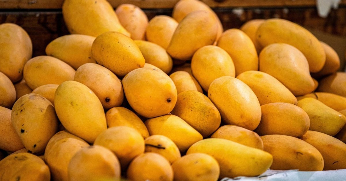How This Online Platform is Helping Karnataka Farmers Reach Mango Lovers Across Bengaluru do sex
