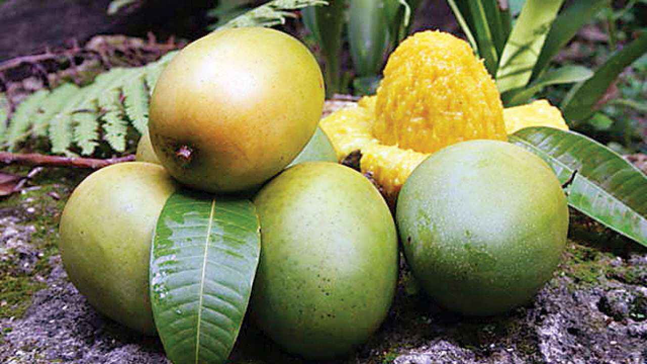 Rajapuri mangoes are ideal for making juices and aamras