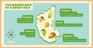 The Mango Map of Karnataka: A Delicious Guide to Local Varieties, From Raspuri to Totapuri
